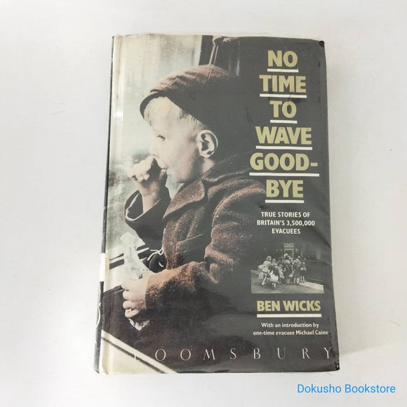 No Time to Wave Goodbye by Ben Wicks (Hardcover)