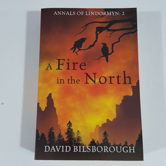 A Fire in the North (Annals Of Lindormyn) by David Bilsborough