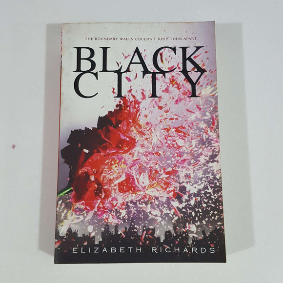 Black City by Elizabeth Richards