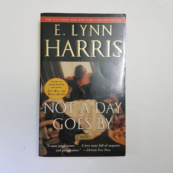 Not A Day Goes By by E. Lynn Harris
