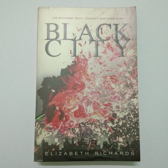 Black City (Black City #1) by Elizabeth Richards