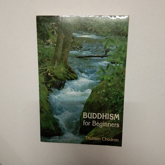 Buddhism for Beginners by Thubten Chodron