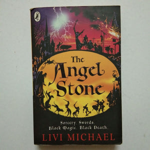 The Angel Stone by Livi Michael