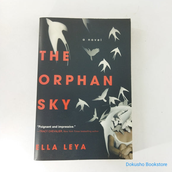 The Orphan Sky by Ella Leya