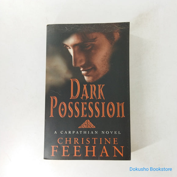 Dark Possession (Dark #15) by Christine Feehan