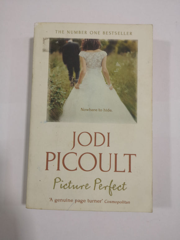 Picture Perfect by Jodi Picoult