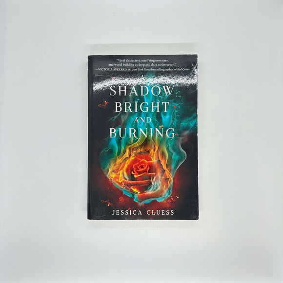 A Shadow Bright and Burning (Kingdom on Fire #1) by Jessica Cluess